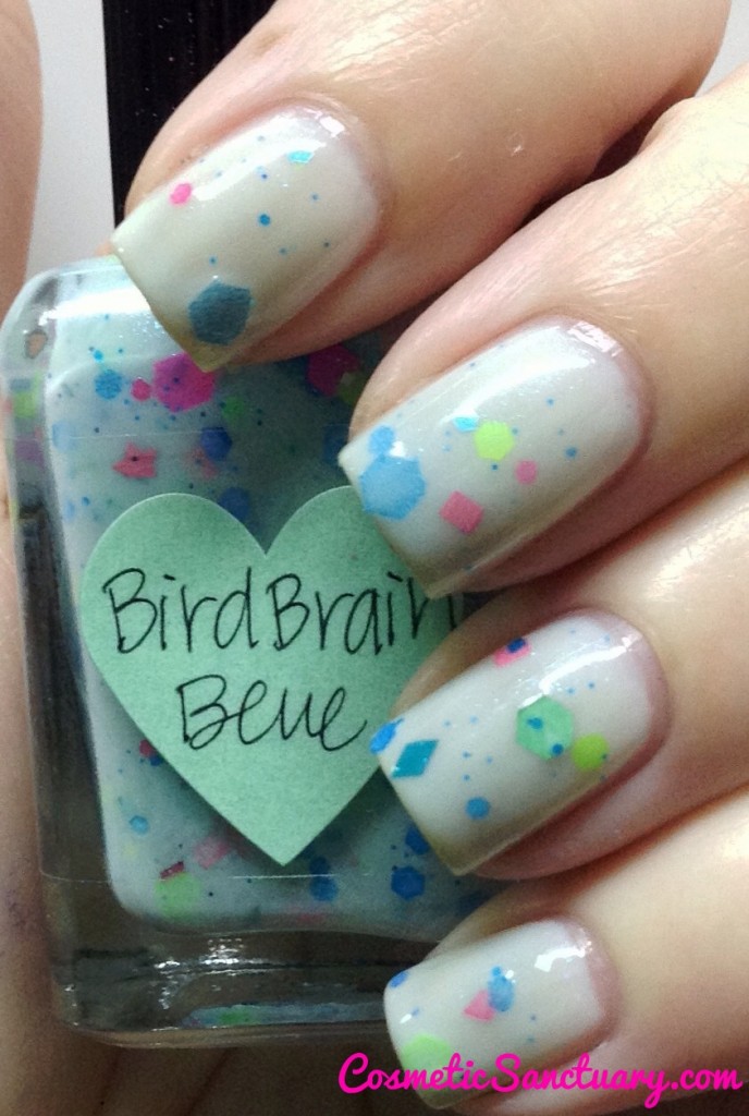 Bird Brain Blue