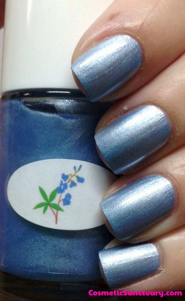 Blue Bonnet