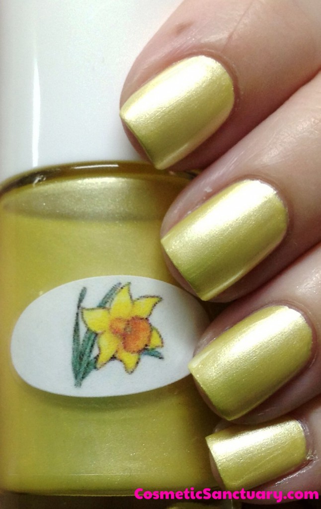 Daffodil