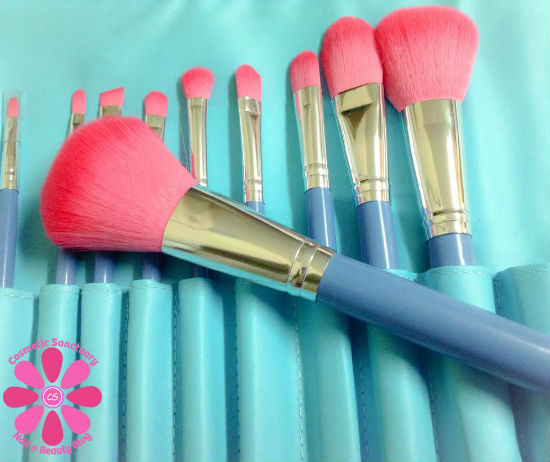 Royie 10 Piece Vegan Makeup Brush Set