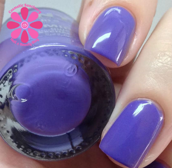 Jacaranda Flower CU