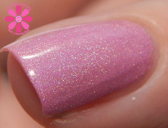 Back To The Fuchsia Macro