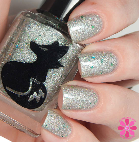Fields of Holo