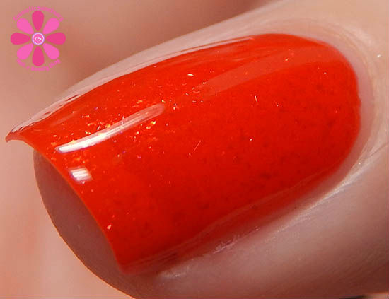 Aphrodite macro