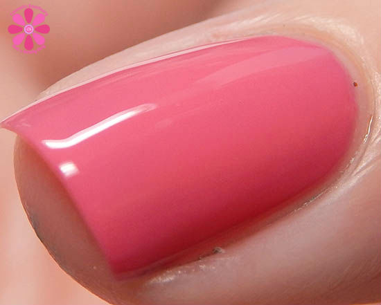 Nolita Lolita macro