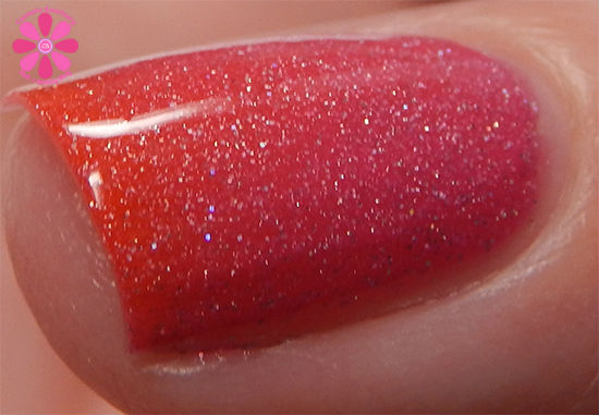 Beachy Keen Macro Transition