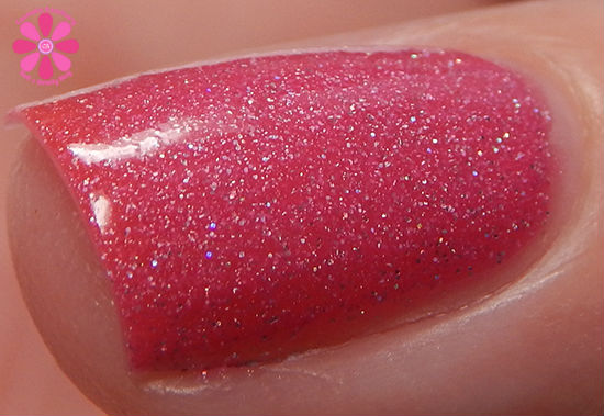 Beachy Keen Macro Warm