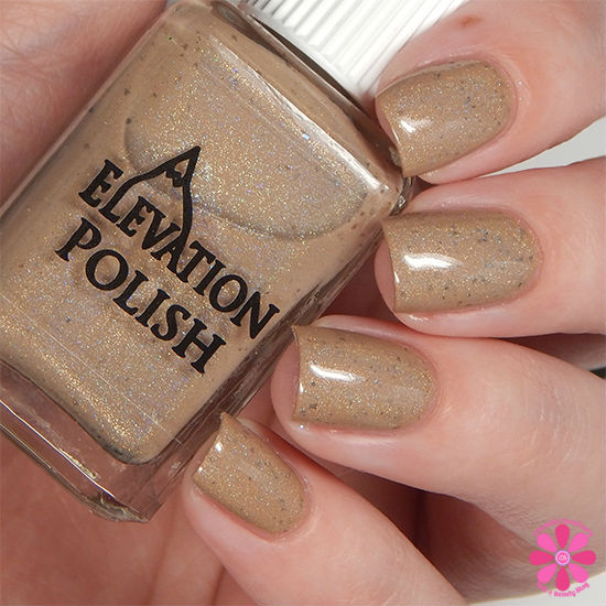 Elevation Polish
