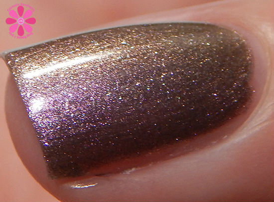 Marion macro 2