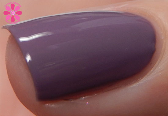 Violet Macro