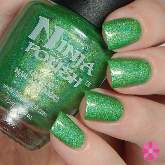 Ninja Polish Infinity Gems Collection Soul Swatch