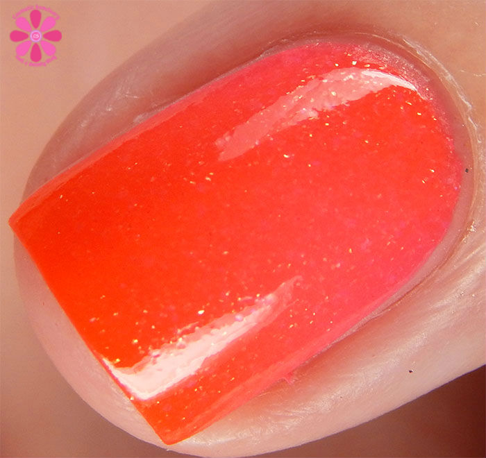 Bass Ackwards Cold Macro