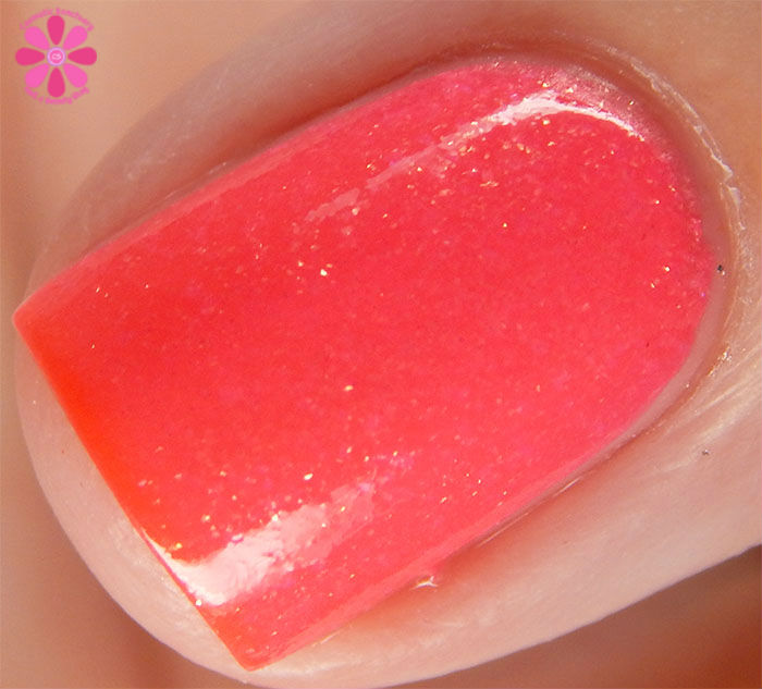 Bass Ackwards Hot Macro