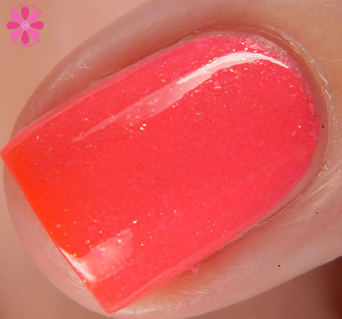 Bass Ackwards Transition Macro