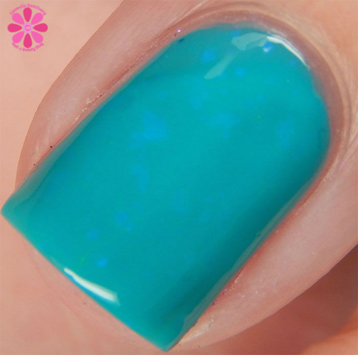 Limited Edition 4041 Macro