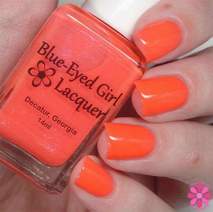 Look At These @#$holes