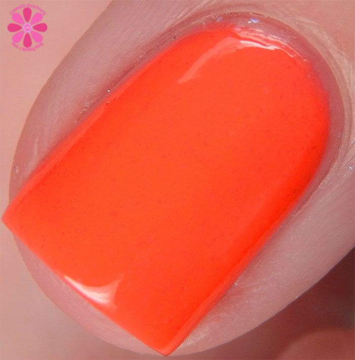 Look At These @#$holes Macro