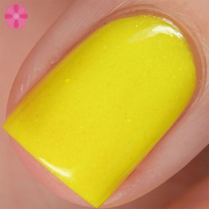 Stop Involving Me Macro