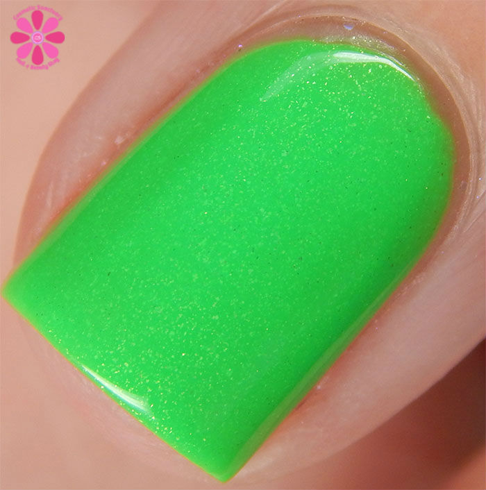 Thanks For Using Me Macro