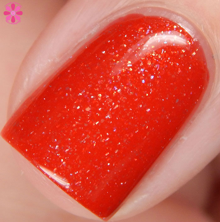 Arabian Macro