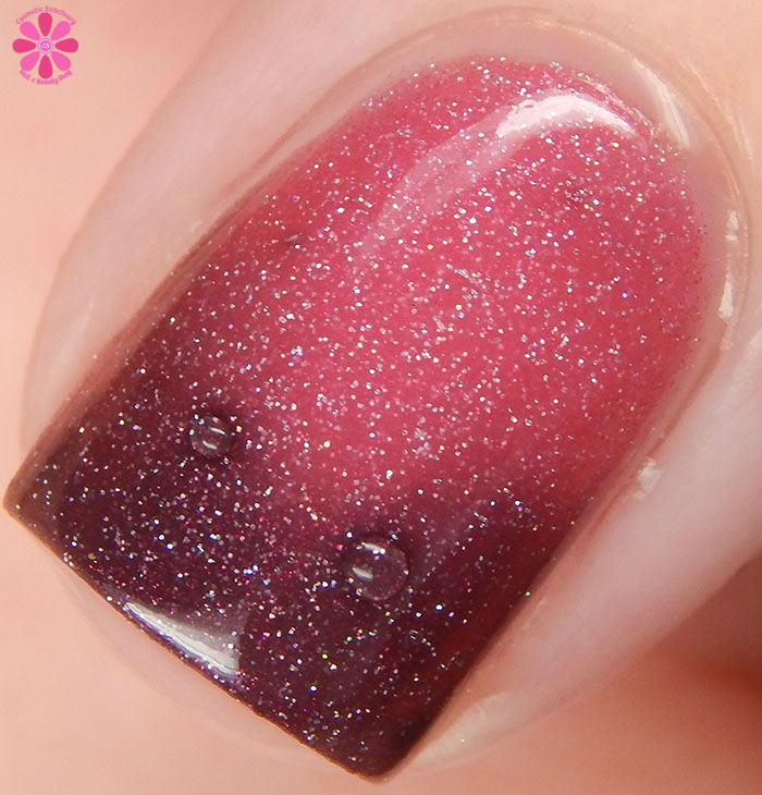 Cranberry Delight Transition Macro