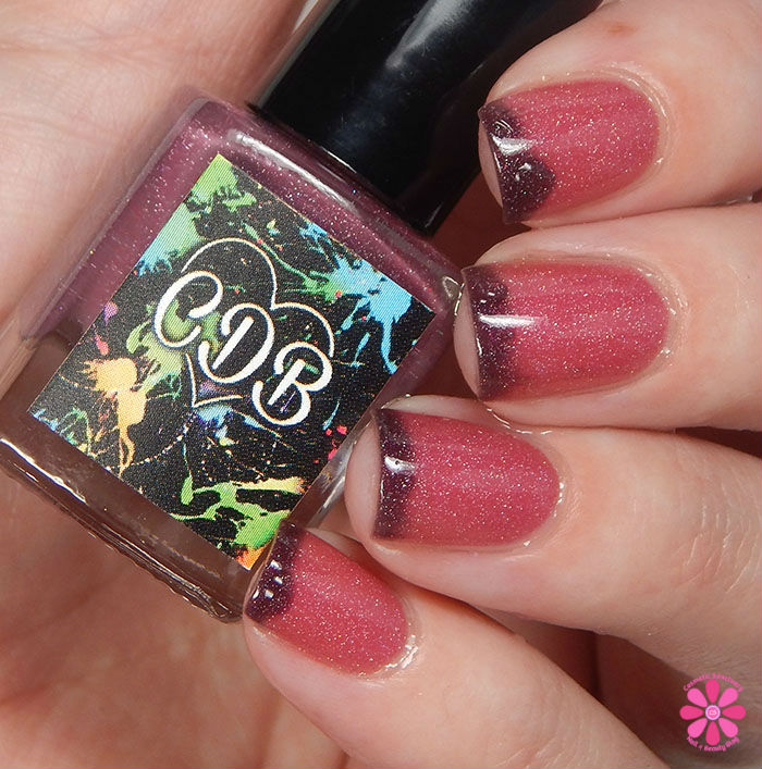 Cranberry Delight Transition