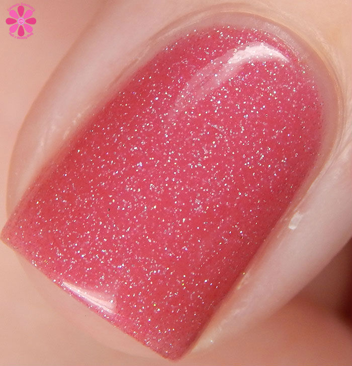 Cranberry Delight Warm Macro
