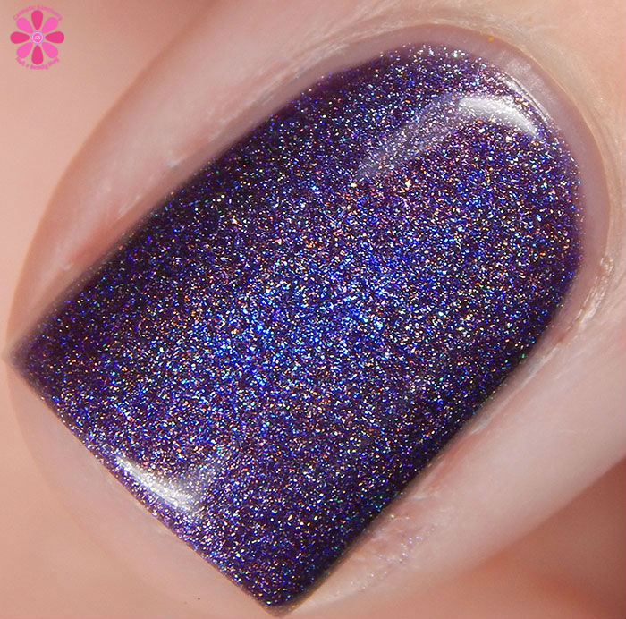 Dream Weaver Macro