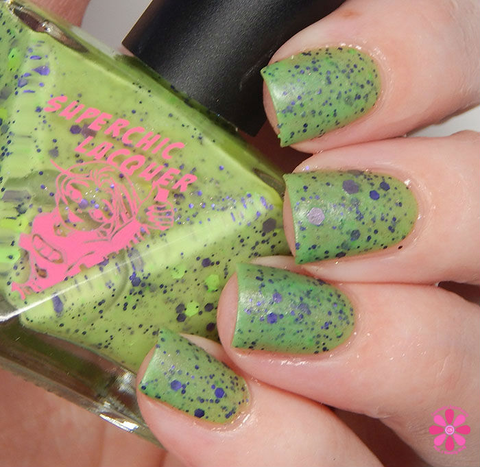 Psychic Hotline Cold