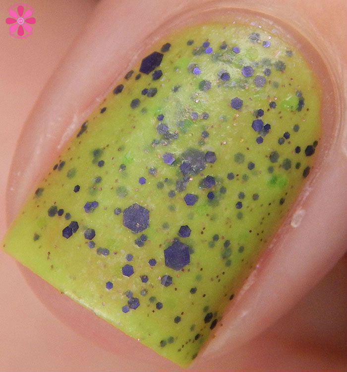 Psychic Hotline Warm Macro