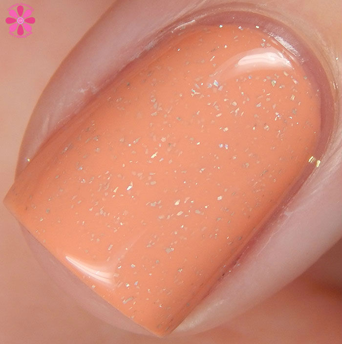 Rebelle Macro