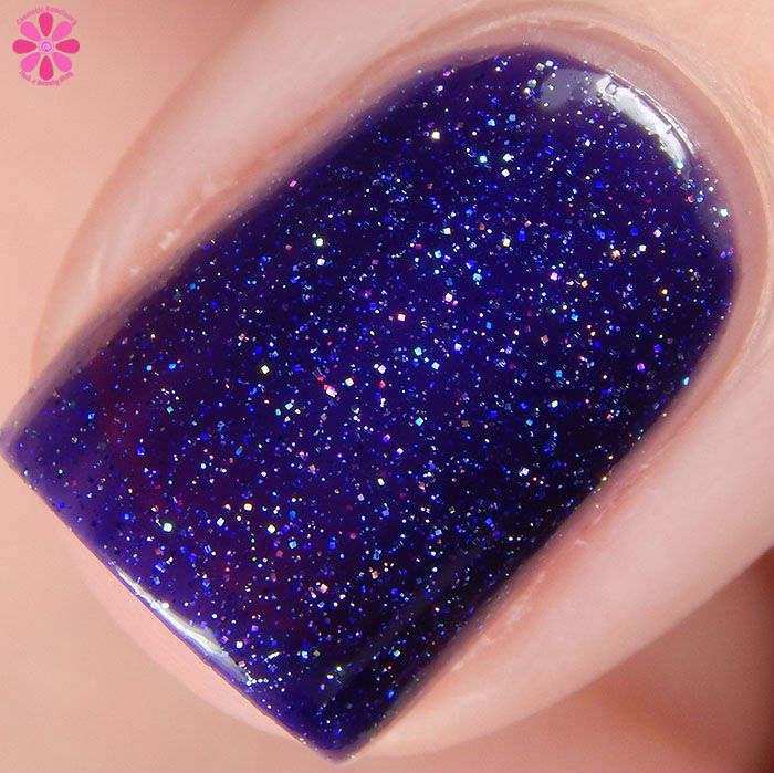 Chasing Shadows Macro