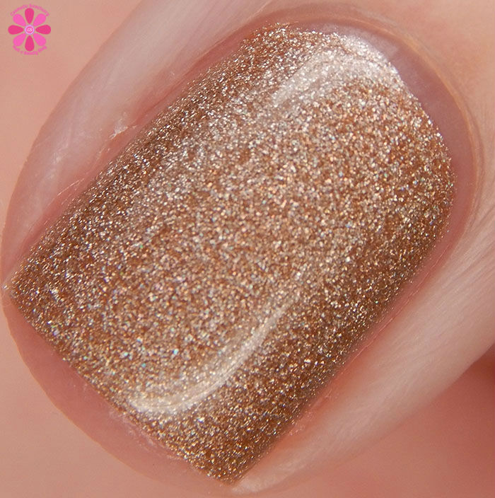 Colors by Llarowe Winter 2015 Collection Hot Buttered Rum Swatch Macro