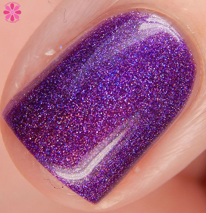 Colors by Llarowe Winter 2015 Collection Plum Perfect Swatch Macro