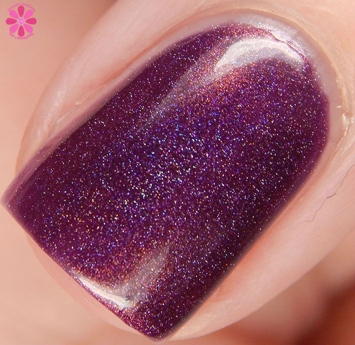 Stardust Polish Solar Flare Macro