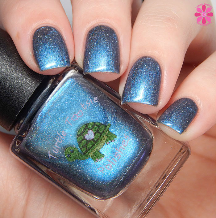 Turtle Tootsie Night Magic Up