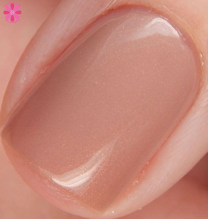 Great Lakes Lacquer Winter 2015 Collection: Doctor's Orders Don't Give Up Swatch Macro