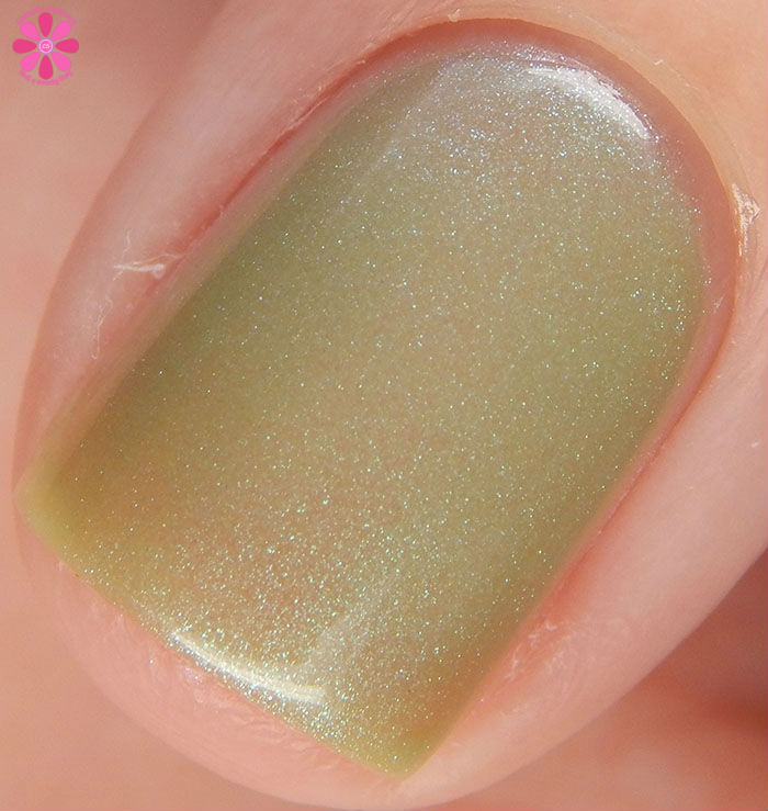 Polished by KPT Cosmic XOdus II Collection Gaia Hot Macro