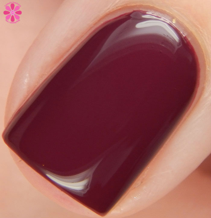 Pretty Serious Cosmetics Pet Names Collection Part 2  Gloomy Kitty Swatch Macro