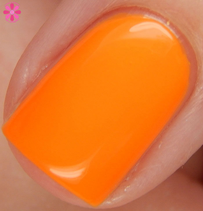 Pretty Serious Cosmetics Pet Names Collection Part 2 Pumpkin Head Swatch Macro