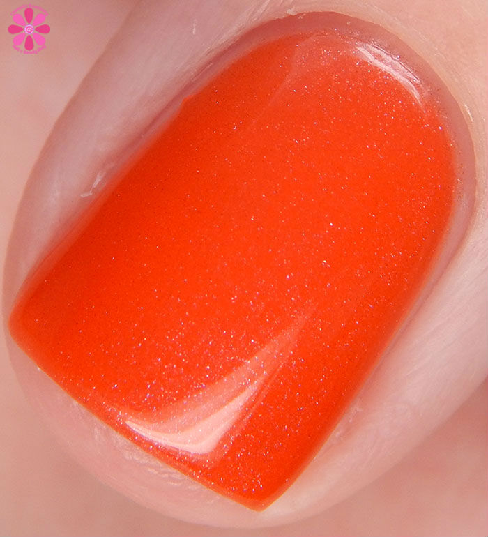 Polished by KPT Cosmic XOdus II Collection Sol Cold Macro