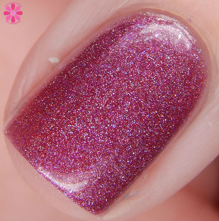The Un-Valentine Collaboration Box Turtle Tootsie Polish It's Not Me It's You Macro