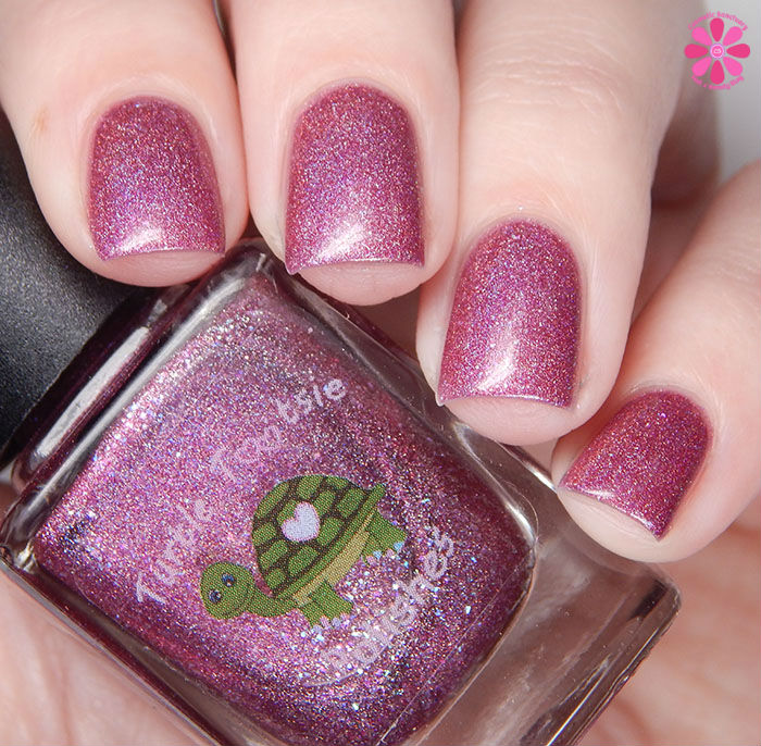 The Un-Valentine Collaboration Box Turtle Tootsie Polish It's Not Me It's You Up