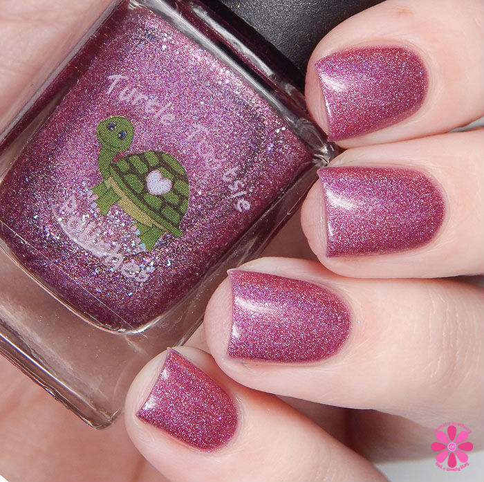 The Un-Valentine Collaboration Box Turtle Tootsie Polish It's Not Me It's You