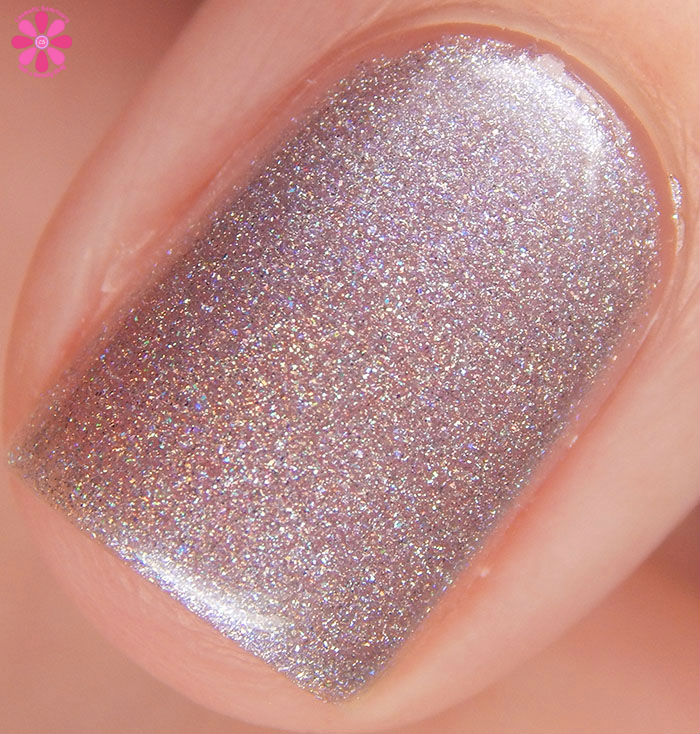 Bolt My Wanderings In Macro