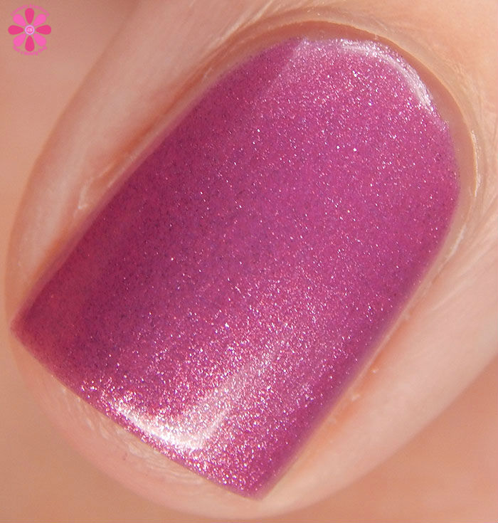 China Glaze Shut The Front Door Macro