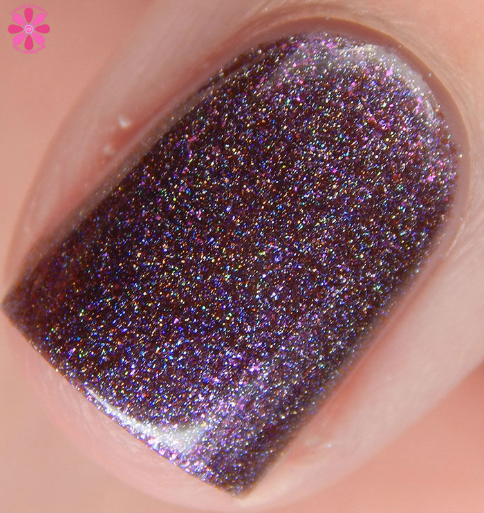 Lilypad Lacquer The Fashionista Collection Edgy Swatch Macro