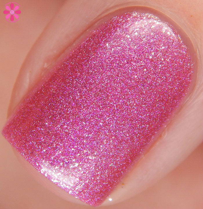 Furever Loved Macro