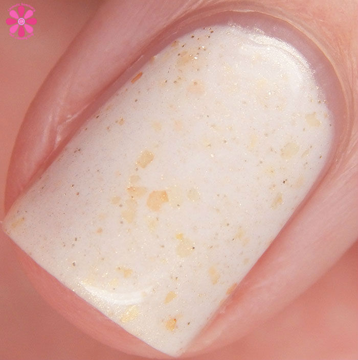 Going To The Beach Macro