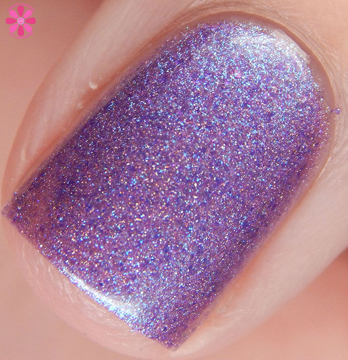 Lilypad Lacquer The Fashionista Collection Iconic Swatch